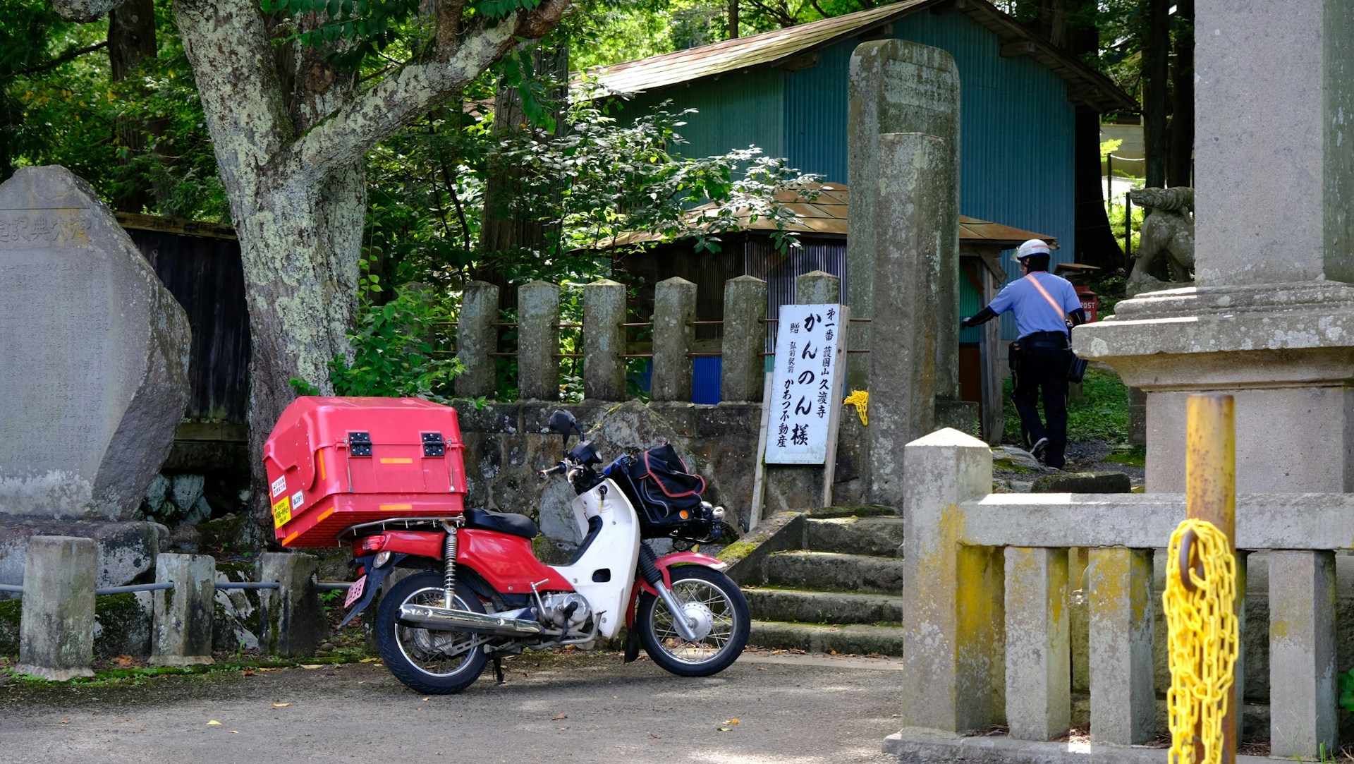 Cesto di cibo fresco